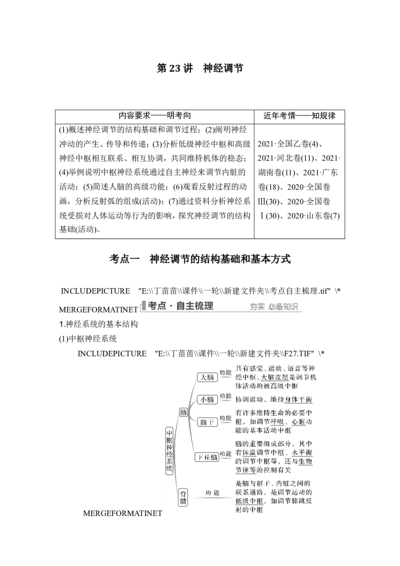 第23讲神经调节_2024年新高考资料_1.2024一轮复习_2024年高考生物一轮复习讲义（新人教版）_另附1套Word版题库_选择性必修1_第八单元稳态与调节