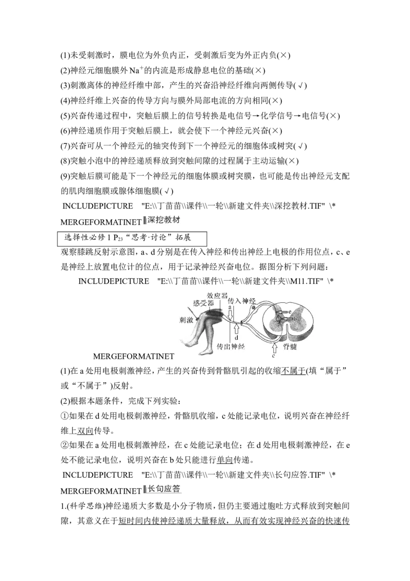 第23讲神经调节_2024年新高考资料_1.2024一轮复习_2024年高考生物一轮复习讲义（新人教版）_另附1套Word版题库_选择性必修1_第八单元稳态与调节