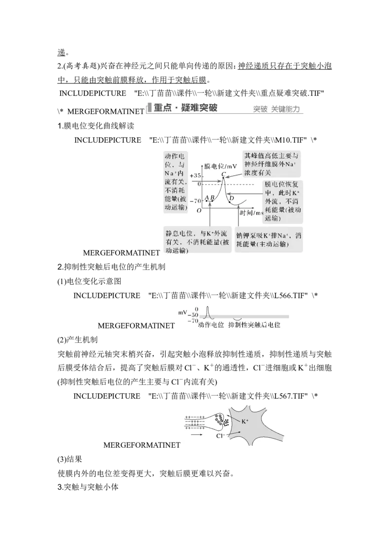 第23讲神经调节_2024年新高考资料_1.2024一轮复习_2024年高考生物一轮复习讲义（新人教版）_另附1套Word版题库_选择性必修1_第八单元稳态与调节