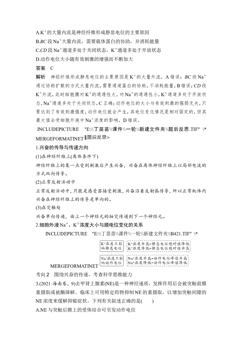 第23讲神经调节_2024年新高考资料_1.2024一轮复习_2024年高考生物一轮复习讲义（新人教版）_另附1套Word版题库_选择性必修1_第八单元稳态与调节