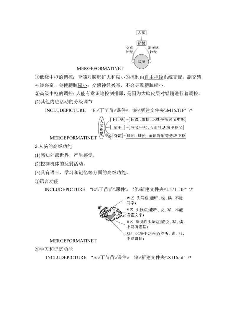 第23讲神经调节_2024年新高考资料_1.2024一轮复习_2024年高考生物一轮复习讲义（新人教版）_另附1套Word版题库_选择性必修1_第八单元稳态与调节