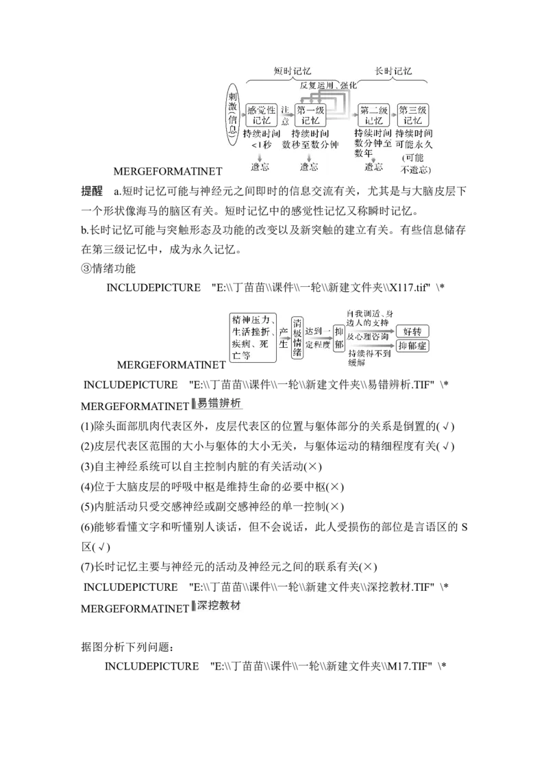 第23讲神经调节_2024年新高考资料_1.2024一轮复习_2024年高考生物一轮复习讲义（新人教版）_另附1套Word版题库_选择性必修1_第八单元稳态与调节