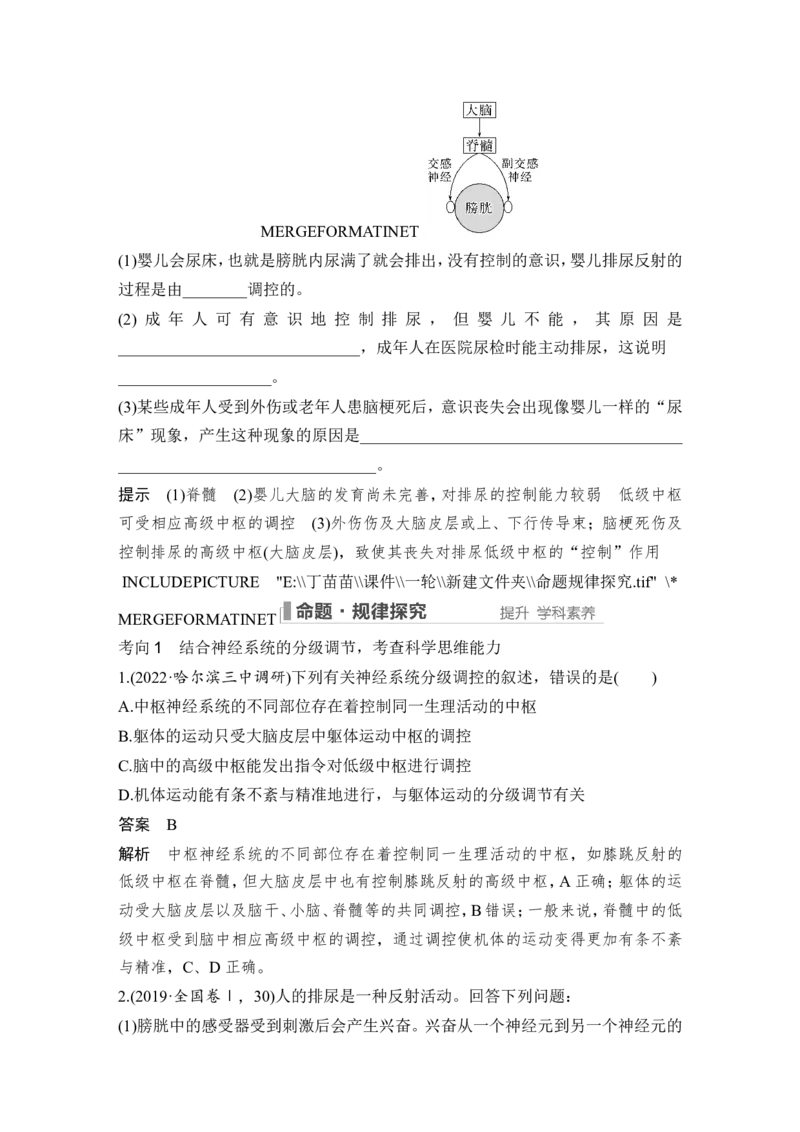 第23讲神经调节_2024年新高考资料_1.2024一轮复习_2024年高考生物一轮复习讲义（新人教版）_另附1套Word版题库_选择性必修1_第八单元稳态与调节