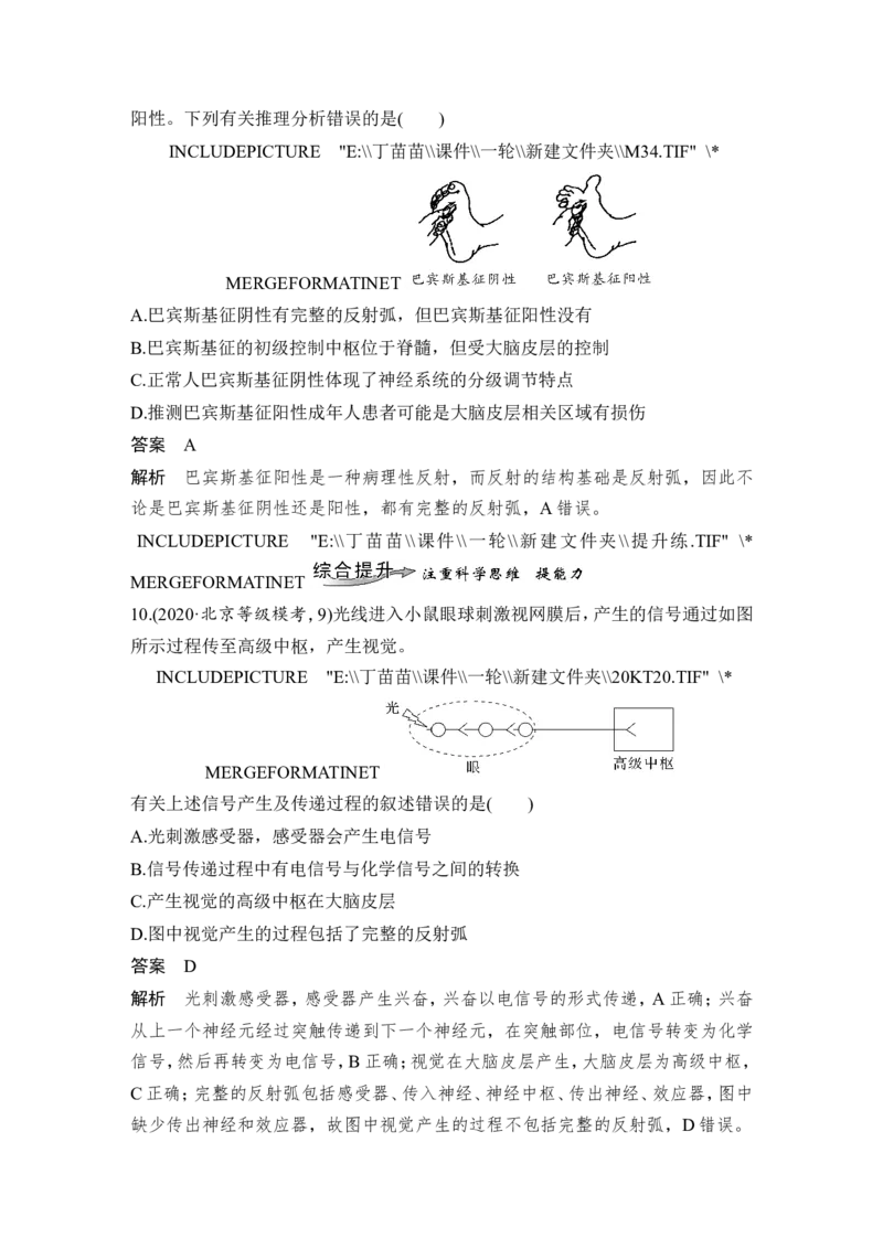 第23讲神经调节_2024年新高考资料_1.2024一轮复习_2024年高考生物一轮复习讲义（新人教版）_另附1套Word版题库_选择性必修1_第八单元稳态与调节