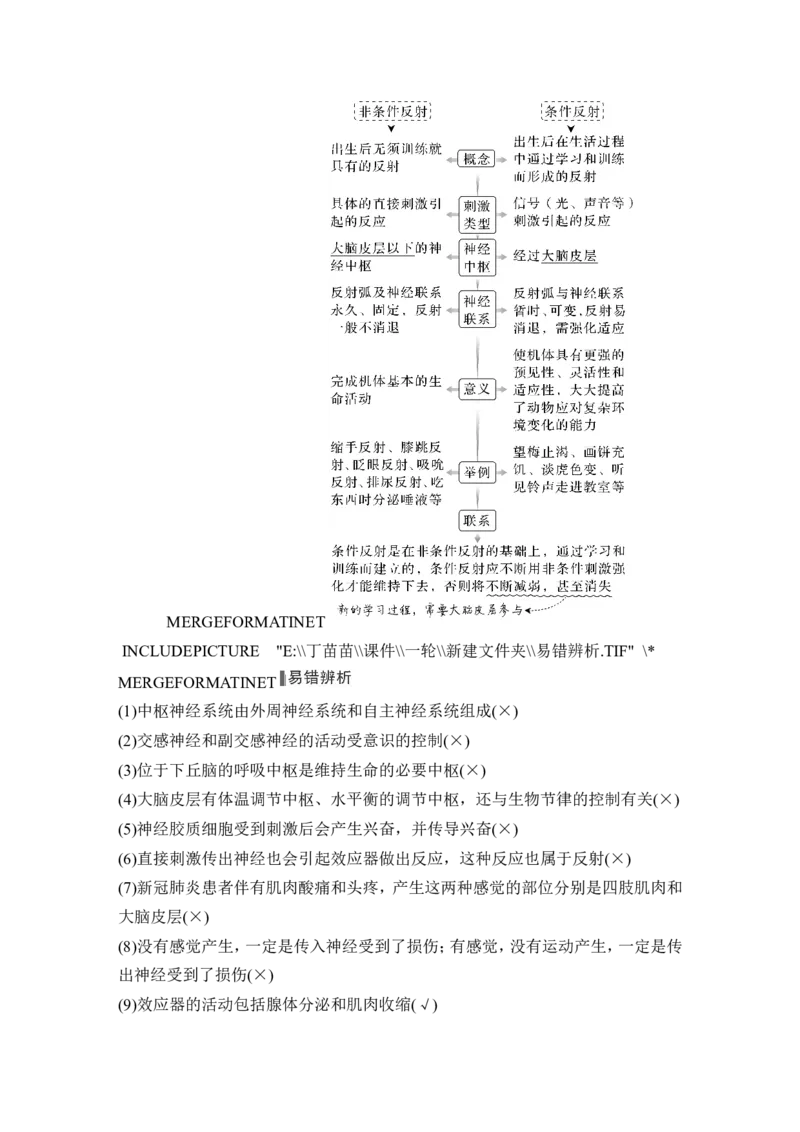 第23讲神经调节_2024年新高考资料_1.2024一轮复习_2024年高考生物一轮复习讲义（新人教版）_另附1套Word版题库_选择性必修1_第八单元稳态与调节