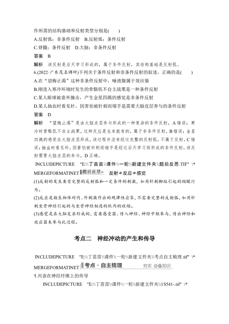 第23讲神经调节_2024年新高考资料_1.2024一轮复习_2024年高考生物一轮复习讲义（新人教版）_另附1套Word版题库_选择性必修1_第八单元稳态与调节