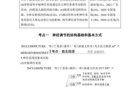 第23讲神经调节_2024年新高考资料_1.2024一轮复习_2024年高考生物一轮复习讲义（新人教版）_另附1套Word版题库_选择性必修1_第八单元稳态与调节