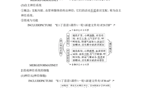 第23讲神经调节_2024年新高考资料_1.2024一轮复习_2024年高考生物一轮复习讲义（新人教版）_另附1套Word版题库_选择性必修1_第八单元稳态与调节