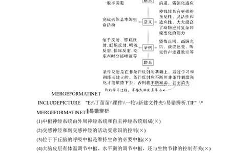 第23讲神经调节_2024年新高考资料_1.2024一轮复习_2024年高考生物一轮复习讲义（新人教版）_另附1套Word版题库_选择性必修1_第八单元稳态与调节