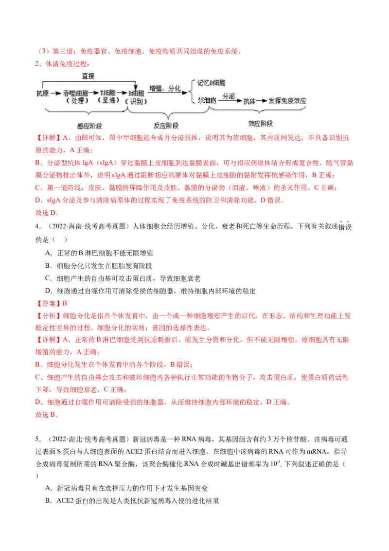 第29讲免疫调节（练习）（解析版）_2024年新高考资料_1.2024一轮复习_2024年高考生物一轮复习讲练测（新教材新高考）