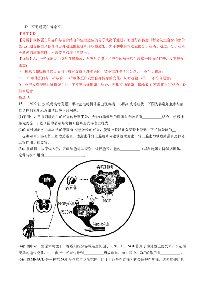第29讲免疫调节（练习）（解析版）_2024年新高考资料_1.2024一轮复习_2024年高考生物一轮复习讲练测（新教材新高考）