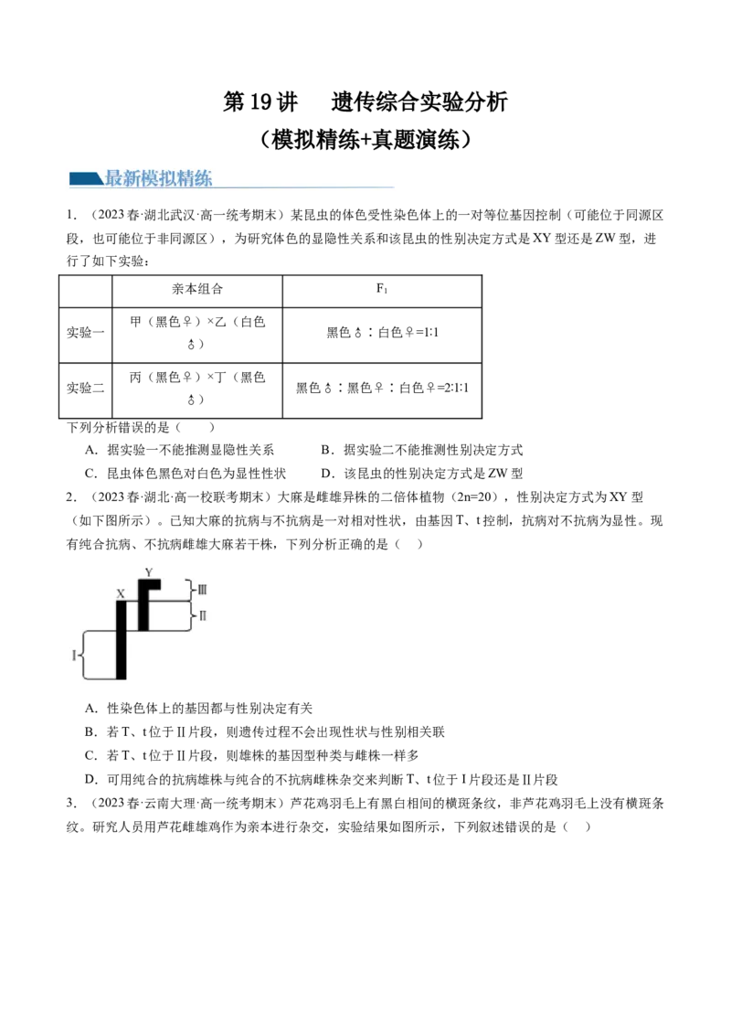 第19讲遗传综合实验分析（练习）（原卷版）_2024年新高考资料_1.2024一轮复习_2024年高考生物一轮复习讲练测（新教材新高考）