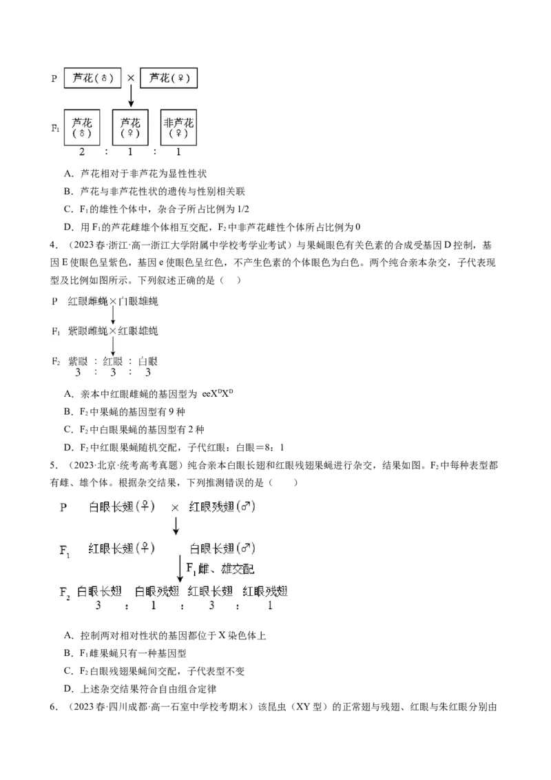 第19讲遗传综合实验分析（练习）（原卷版）_2024年新高考资料_1.2024一轮复习_2024年高考生物一轮复习讲练测（新教材新高考）