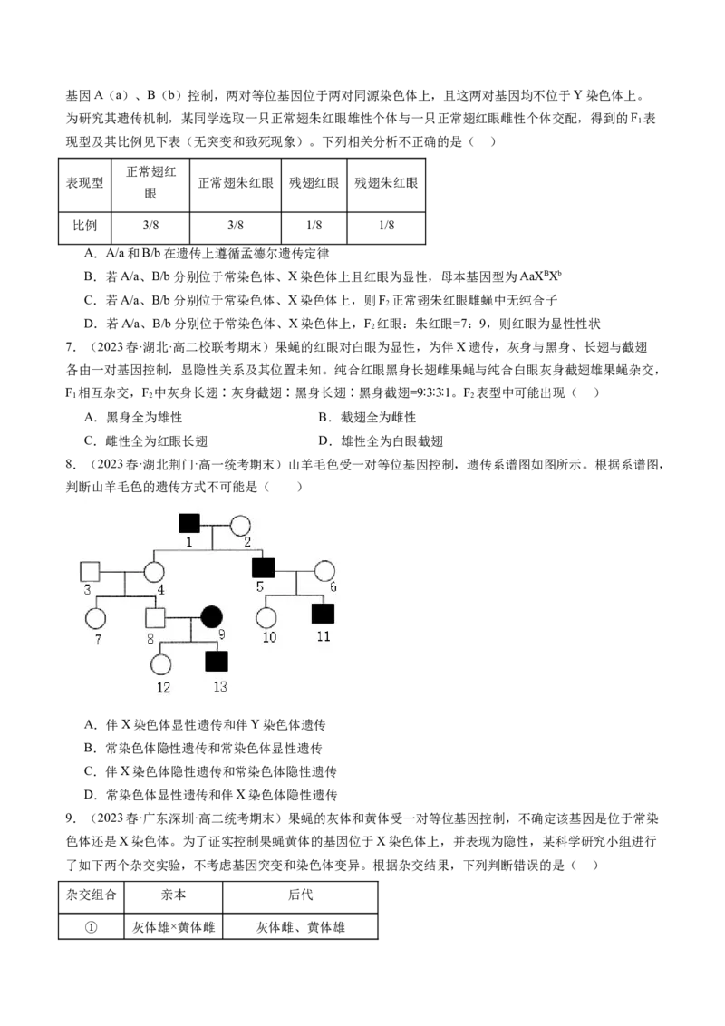 第19讲遗传综合实验分析（练习）（原卷版）_2024年新高考资料_1.2024一轮复习_2024年高考生物一轮复习讲练测（新教材新高考）