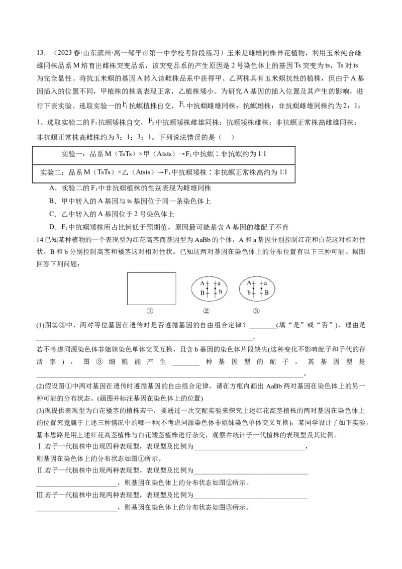 第19讲遗传综合实验分析（练习）（原卷版）_2024年新高考资料_1.2024一轮复习_2024年高考生物一轮复习讲练测（新教材新高考）