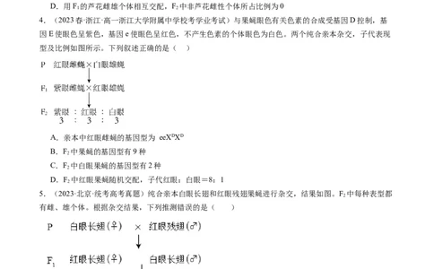 第19讲遗传综合实验分析（练习）（原卷版）_2024年新高考资料_1.2024一轮复习_2024年高考生物一轮复习讲练测（新教材新高考）