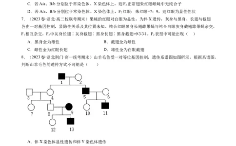 第19讲遗传综合实验分析（练习）（原卷版）_2024年新高考资料_1.2024一轮复习_2024年高考生物一轮复习讲练测（新教材新高考）