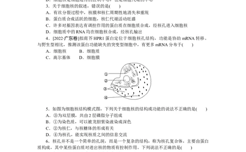 专练10　细胞核&mdash;&mdash;系统的控制中心_通用版（老高考）复习资料_2023年复习资料_专项复习_2023《微专题&middot;小练习》&middot;生物