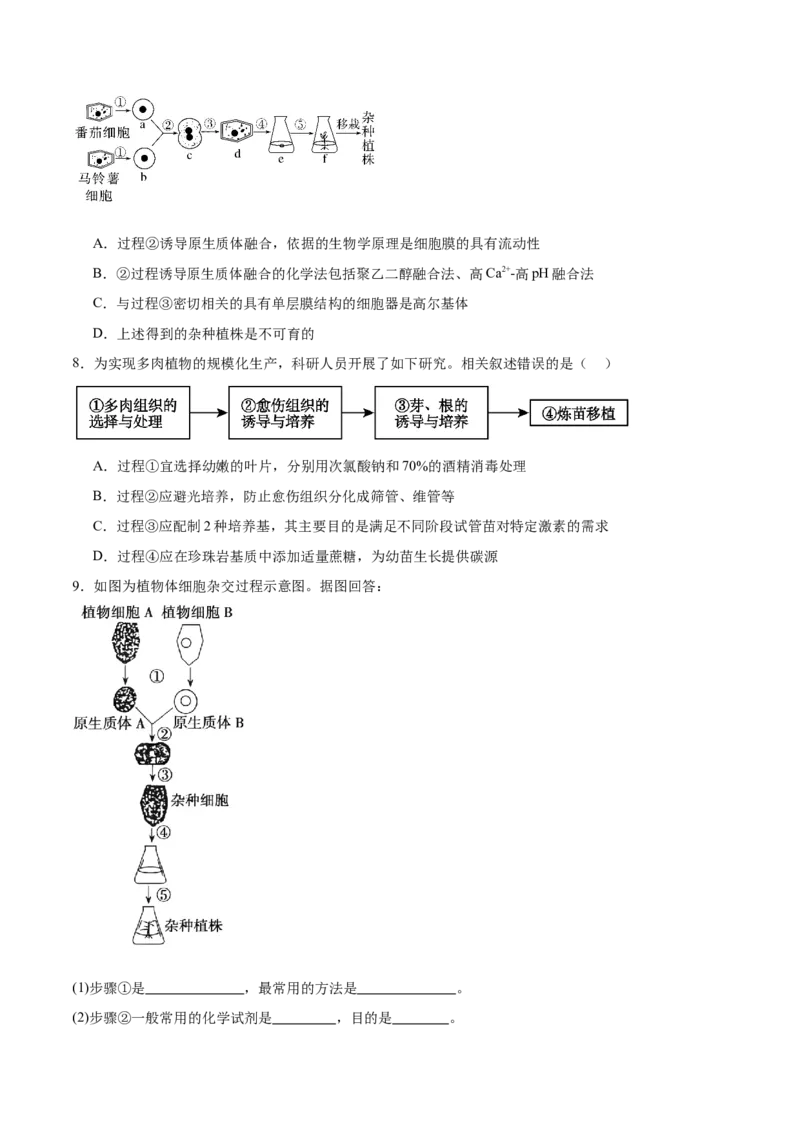 第17讲细胞工程（练习）（原卷版）_2024年新高考资料_2.2024二轮复习_2024年高考生物二轮复习讲练测（新教材新高考）