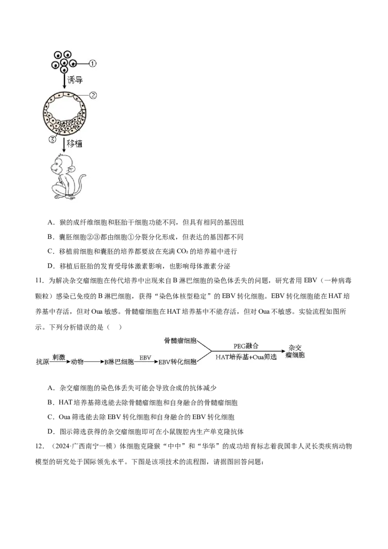 第17讲细胞工程（练习）（原卷版）_2024年新高考资料_2.2024二轮复习_2024年高考生物二轮复习讲练测（新教材新高考）