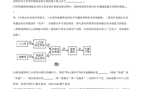 第17讲细胞工程（练习）（原卷版）_2024年新高考资料_2.2024二轮复习_2024年高考生物二轮复习讲练测（新教材新高考）