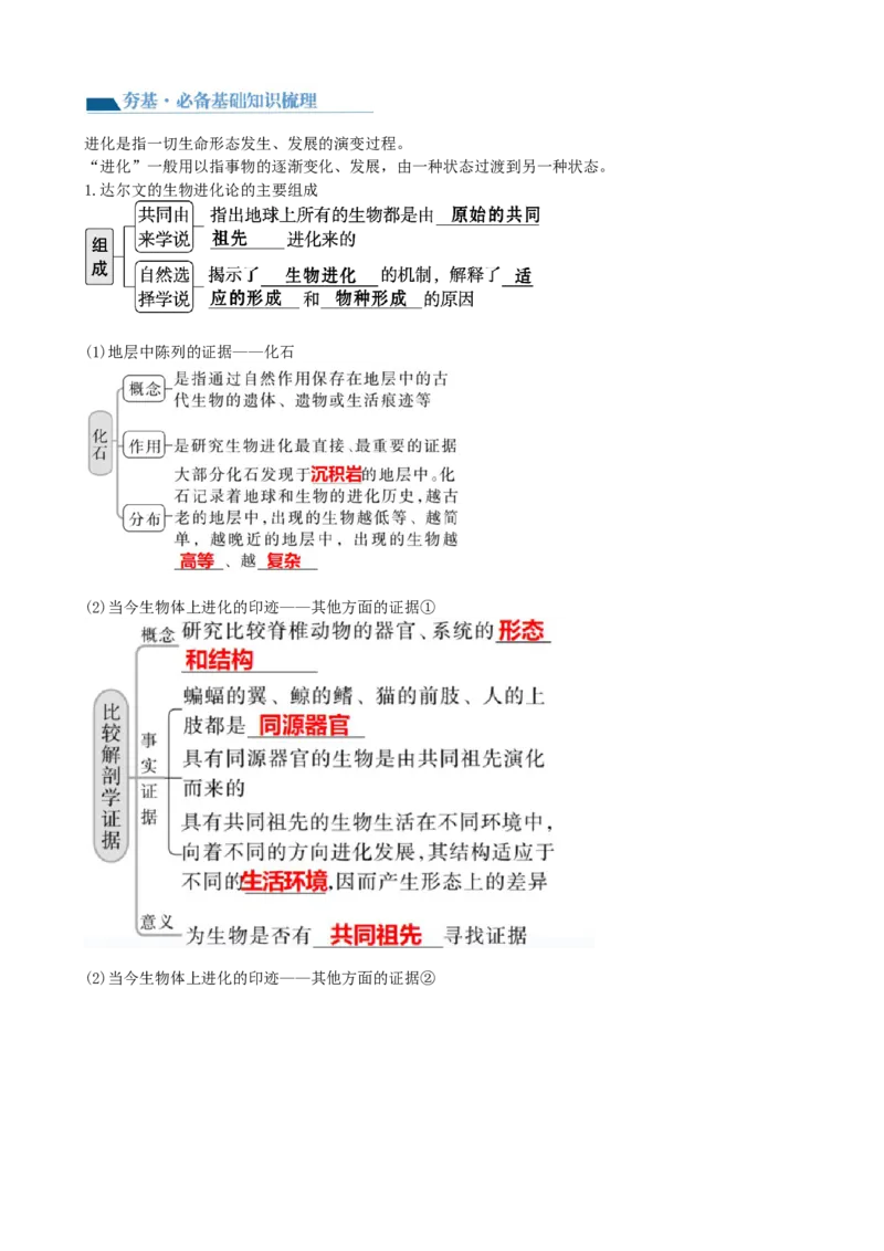 第24讲生物的进化（讲义）（学生版）_2024年新高考资料_1.2024一轮复习_2024年高考生物一轮复习讲练测（新教材新高考）