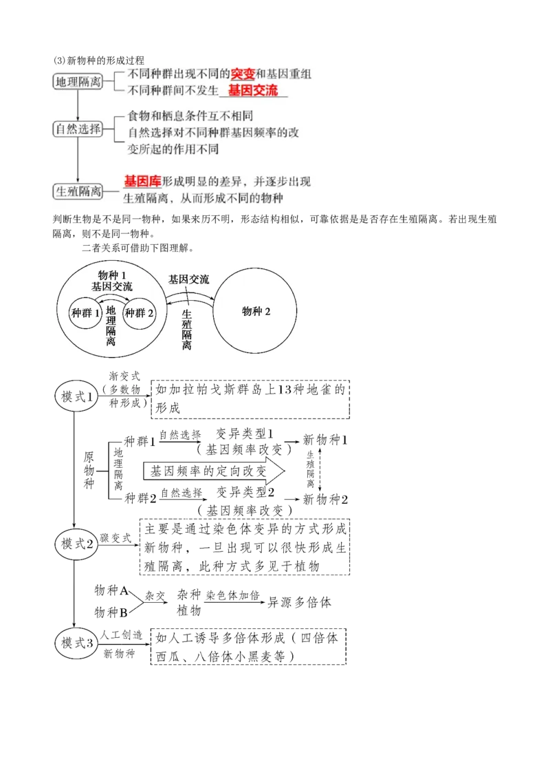 第24讲生物的进化（讲义）（学生版）_2024年新高考资料_1.2024一轮复习_2024年高考生物一轮复习讲练测（新教材新高考）