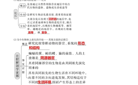 第24讲生物的进化（讲义）（学生版）_2024年新高考资料_1.2024一轮复习_2024年高考生物一轮复习讲练测（新教材新高考）