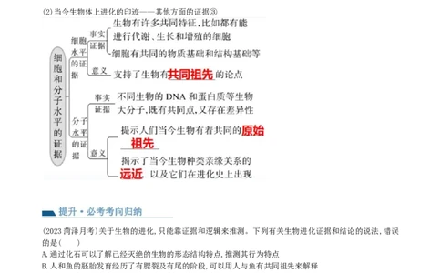 第24讲生物的进化（讲义）（学生版）_2024年新高考资料_1.2024一轮复习_2024年高考生物一轮复习讲练测（新教材新高考）