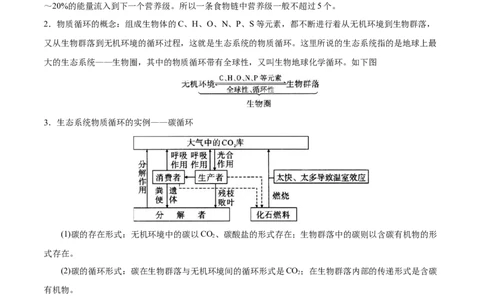 GKSW150_第26讲生态系统-备战2022年高考生物一轮复习精品讲义（人教版）(解析版)_新高考复习资料_2022年新高考复习资料_备战2022新高考生物一轮复习精品讲义（人教版）