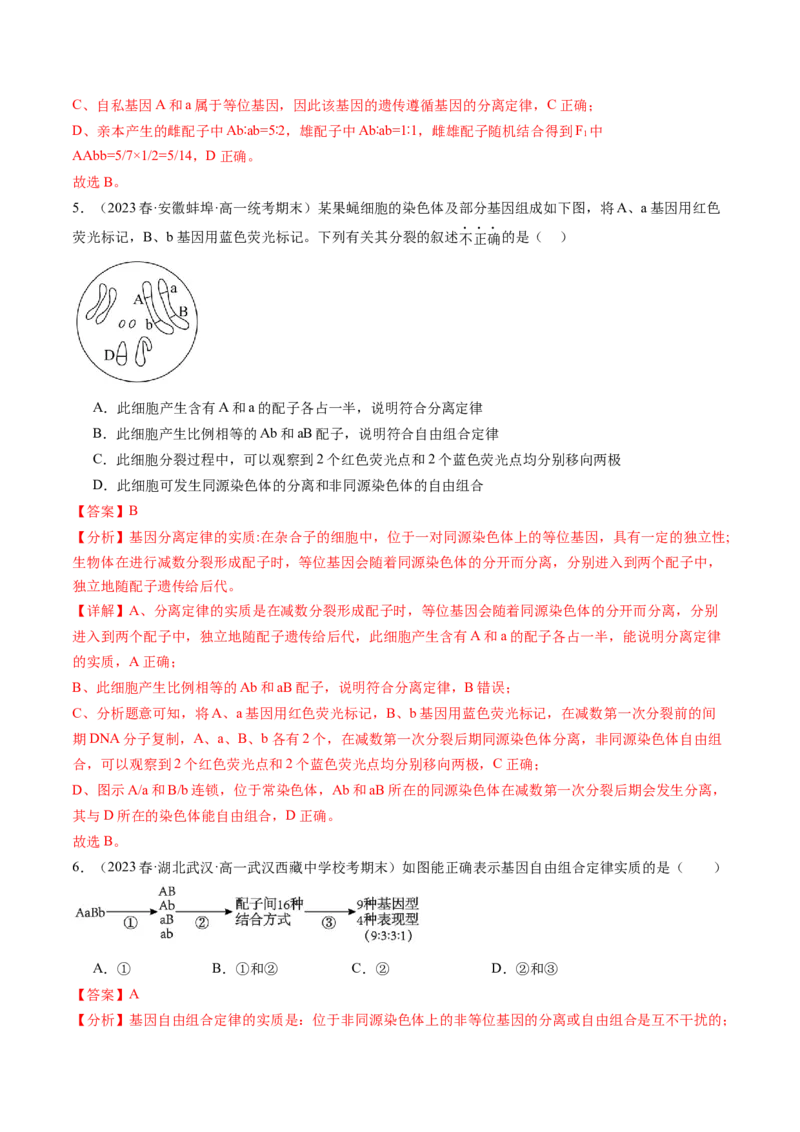 第17.2讲基因的自由组合定律相关题型（练习）（解析版）_2024年新高考资料_1.2024一轮复习_2024年高考生物一轮复习讲练测（新教材新高考）