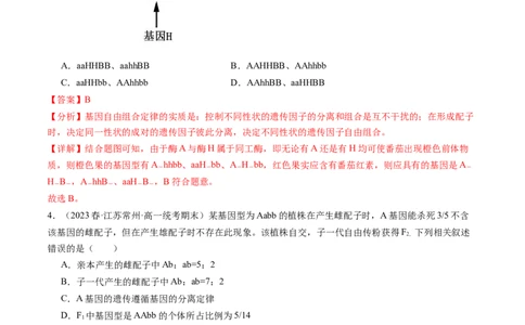 第17.2讲基因的自由组合定律相关题型（练习）（解析版）_2024年新高考资料_1.2024一轮复习_2024年高考生物一轮复习讲练测（新教材新高考）