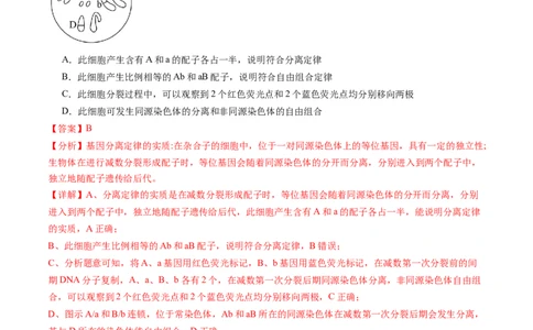 第17.2讲基因的自由组合定律相关题型（练习）（解析版）_2024年新高考资料_1.2024一轮复习_2024年高考生物一轮复习讲练测（新教材新高考）