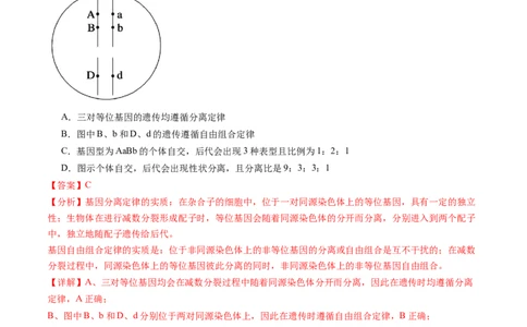 第17.2讲基因的自由组合定律相关题型（练习）（解析版）_2024年新高考资料_1.2024一轮复习_2024年高考生物一轮复习讲练测（新教材新高考）