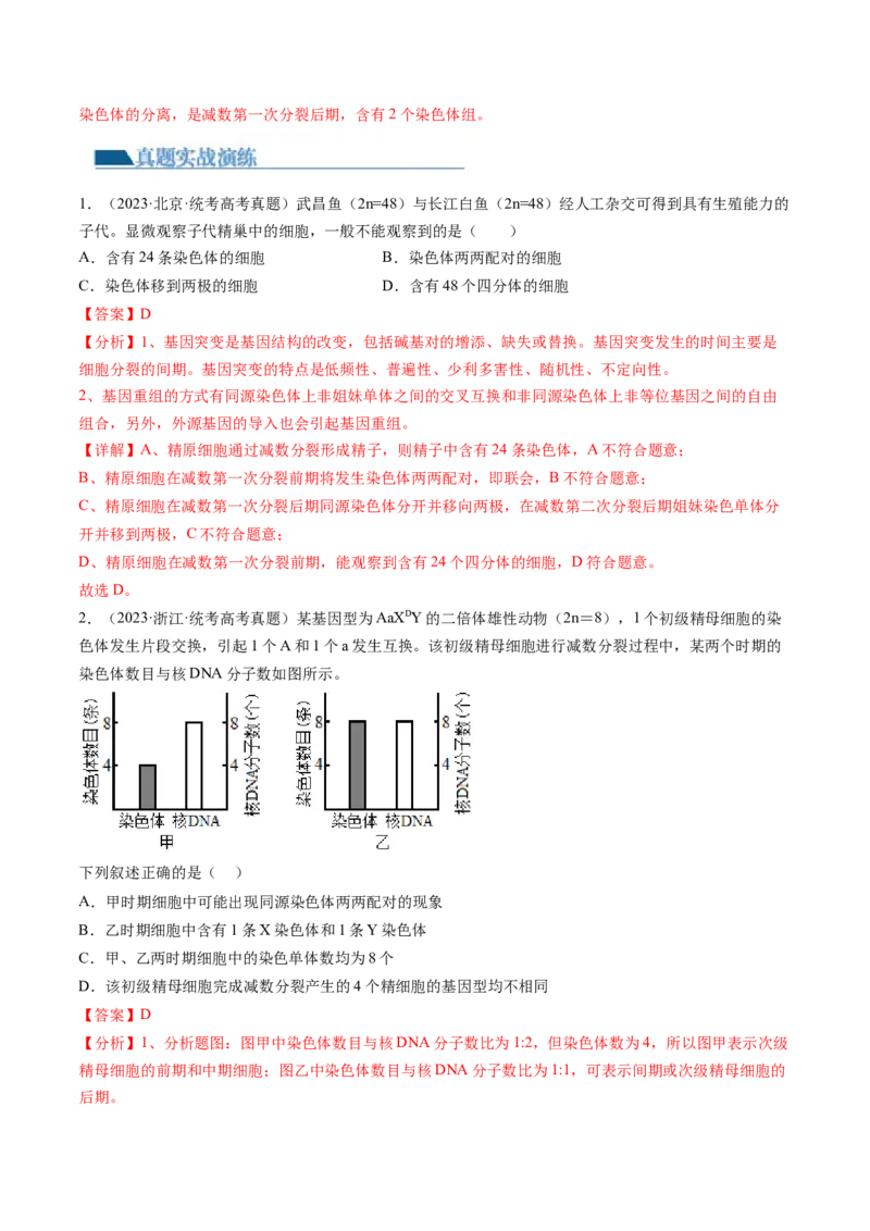 第13讲减数分裂和受精作用（练习）（解析版）_2024年新高考资料_1.2024一轮复习_2024年高考生物一轮复习讲练测（新教材新高考）