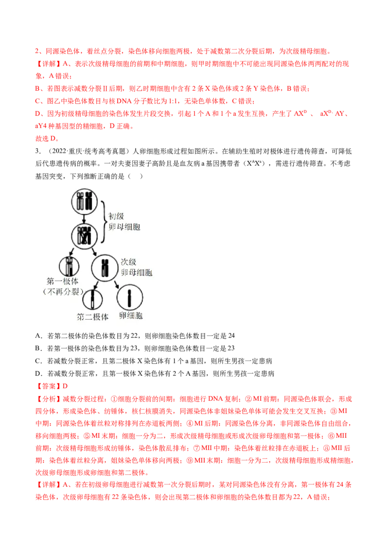 第13讲减数分裂和受精作用（练习）（解析版）_2024年新高考资料_1.2024一轮复习_2024年高考生物一轮复习讲练测（新教材新高考）