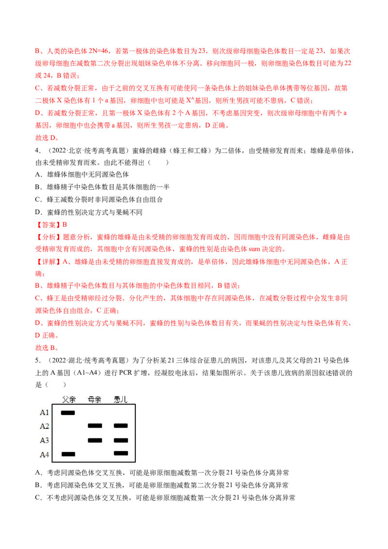 第13讲减数分裂和受精作用（练习）（解析版）_2024年新高考资料_1.2024一轮复习_2024年高考生物一轮复习讲练测（新教材新高考）