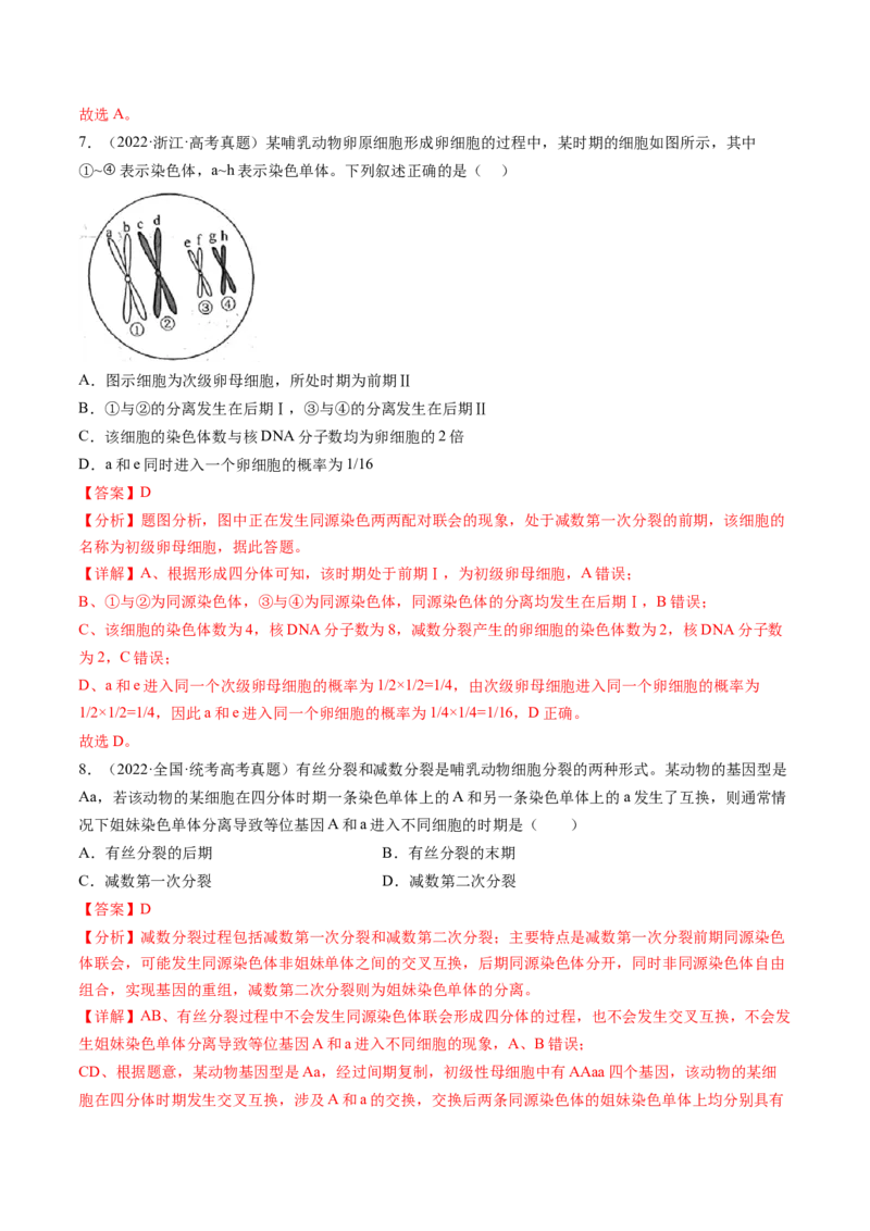 第13讲减数分裂和受精作用（练习）（解析版）_2024年新高考资料_1.2024一轮复习_2024年高考生物一轮复习讲练测（新教材新高考）