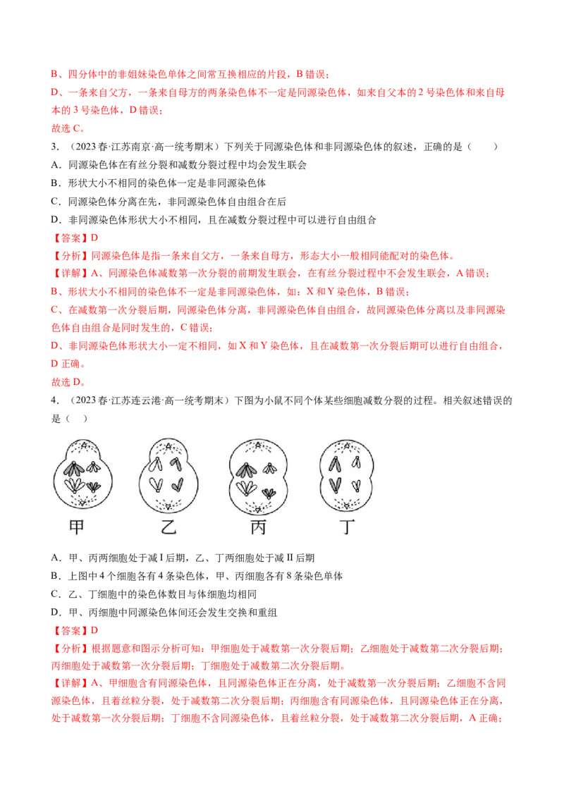 第13讲减数分裂和受精作用（练习）（解析版）_2024年新高考资料_1.2024一轮复习_2024年高考生物一轮复习讲练测（新教材新高考）