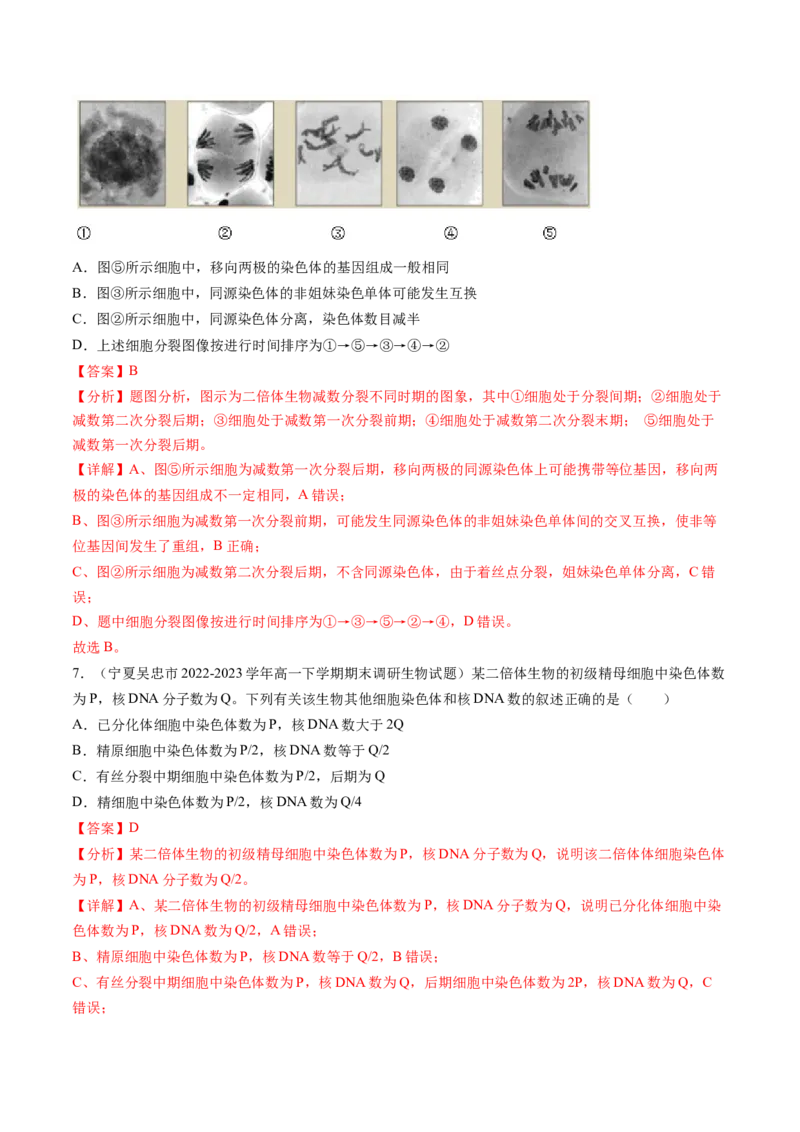 第13讲减数分裂和受精作用（练习）（解析版）_2024年新高考资料_1.2024一轮复习_2024年高考生物一轮复习讲练测（新教材新高考）