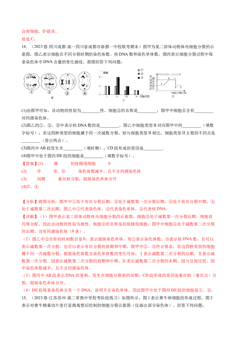 第13讲减数分裂和受精作用（练习）（解析版）_2024年新高考资料_1.2024一轮复习_2024年高考生物一轮复习讲练测（新教材新高考）