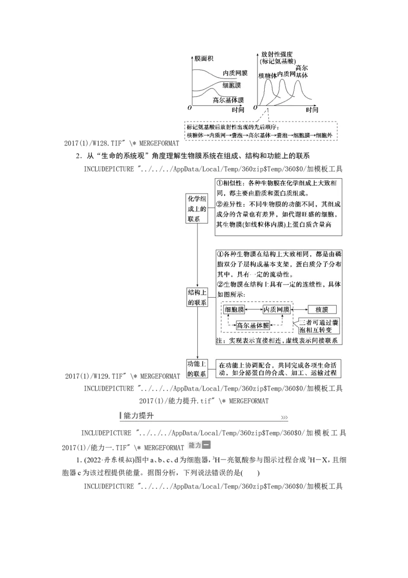 [12501769]高中生物一轮复习学案：第5讲　细胞器和生物膜系统_新高考复习资料_2023年新高考复习资料_一轮复习_精讲精练2023届新高考生物一轮复习学案