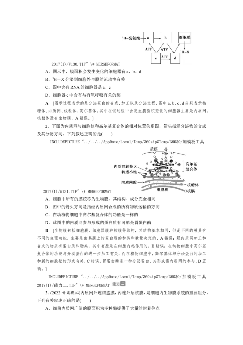 [12501769]高中生物一轮复习学案：第5讲　细胞器和生物膜系统_新高考复习资料_2023年新高考复习资料_一轮复习_精讲精练2023届新高考生物一轮复习学案