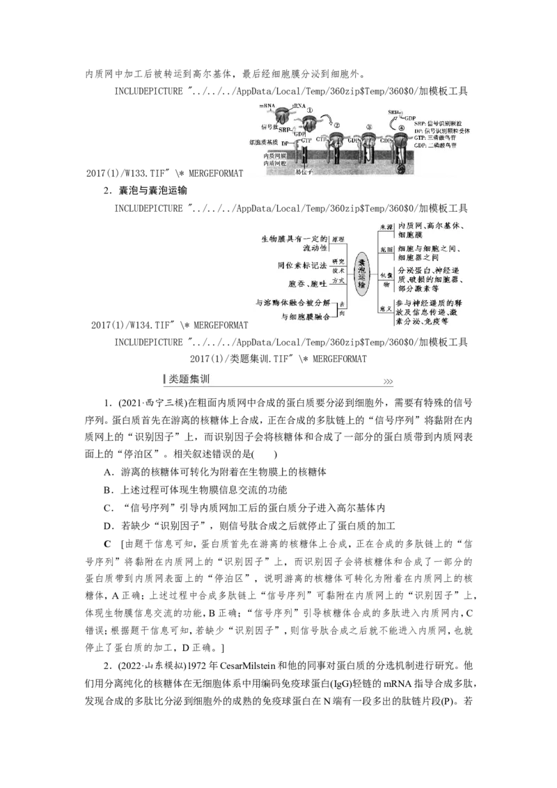 [12501769]高中生物一轮复习学案：第5讲　细胞器和生物膜系统_新高考复习资料_2023年新高考复习资料_一轮复习_精讲精练2023届新高考生物一轮复习学案