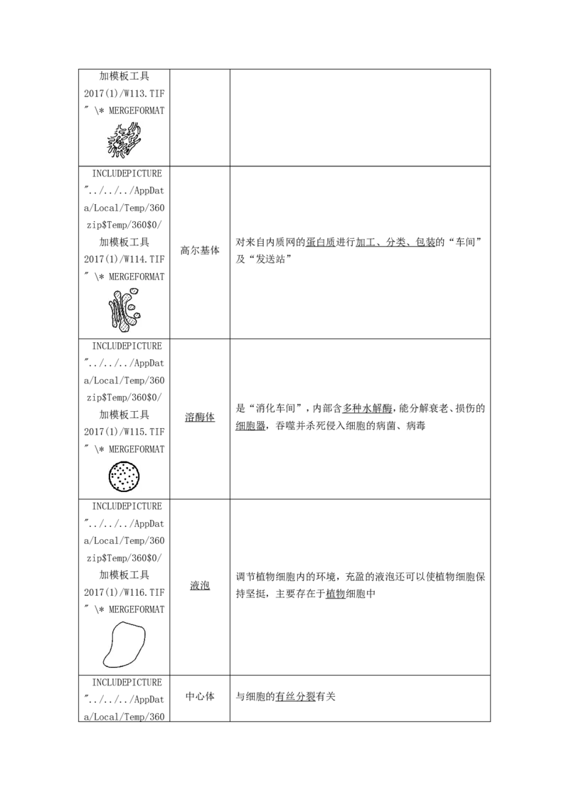 [12501769]高中生物一轮复习学案：第5讲　细胞器和生物膜系统_新高考复习资料_2023年新高考复习资料_一轮复习_精讲精练2023届新高考生物一轮复习学案