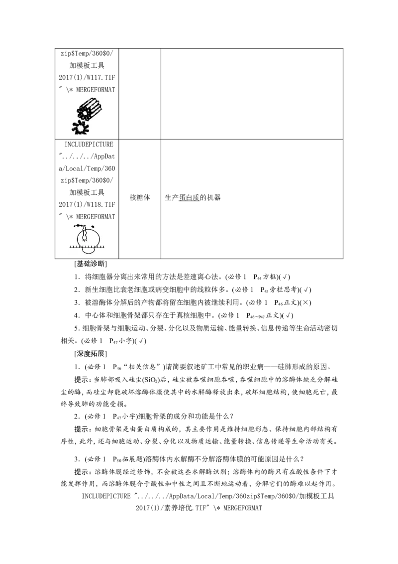 [12501769]高中生物一轮复习学案：第5讲　细胞器和生物膜系统_新高考复习资料_2023年新高考复习资料_一轮复习_精讲精练2023届新高考生物一轮复习学案
