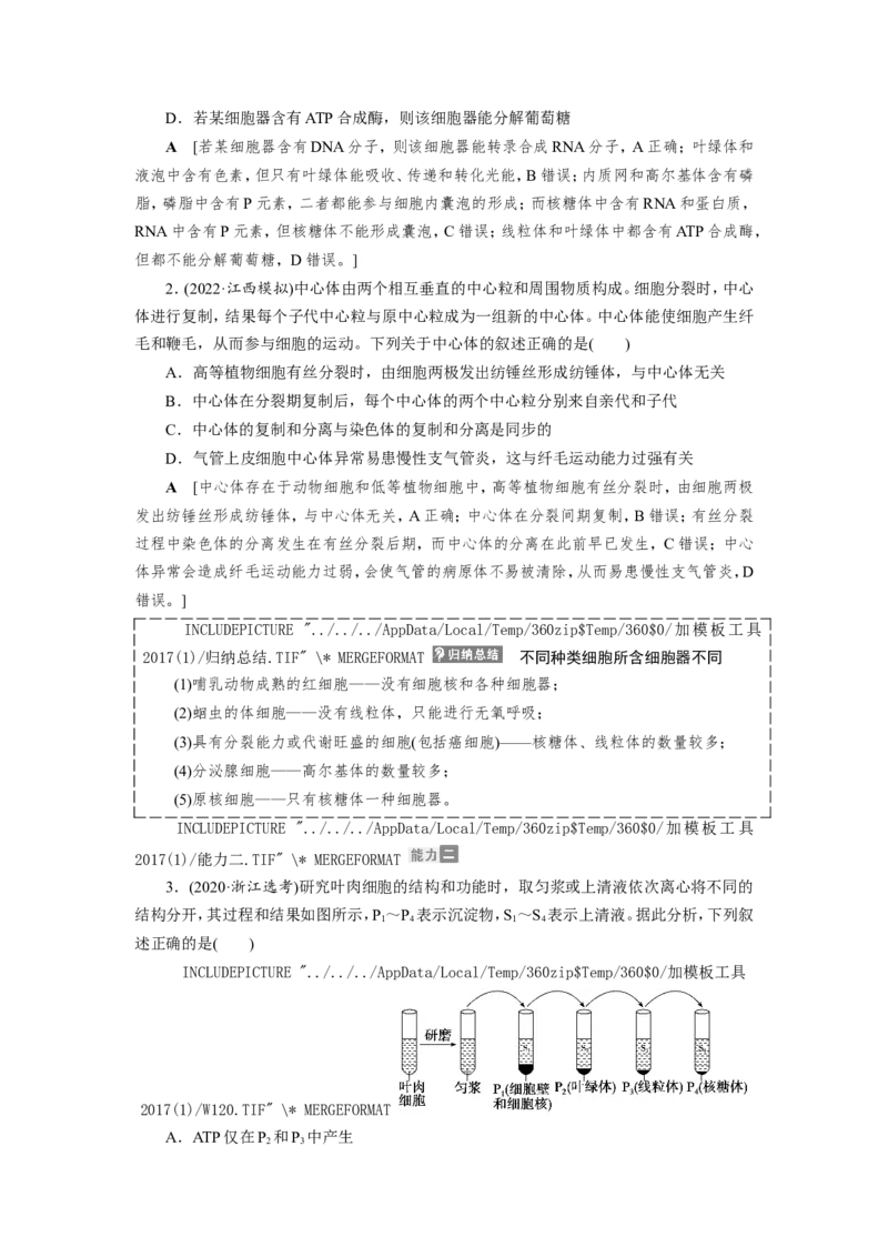 [12501769]高中生物一轮复习学案：第5讲　细胞器和生物膜系统_新高考复习资料_2023年新高考复习资料_一轮复习_精讲精练2023届新高考生物一轮复习学案
