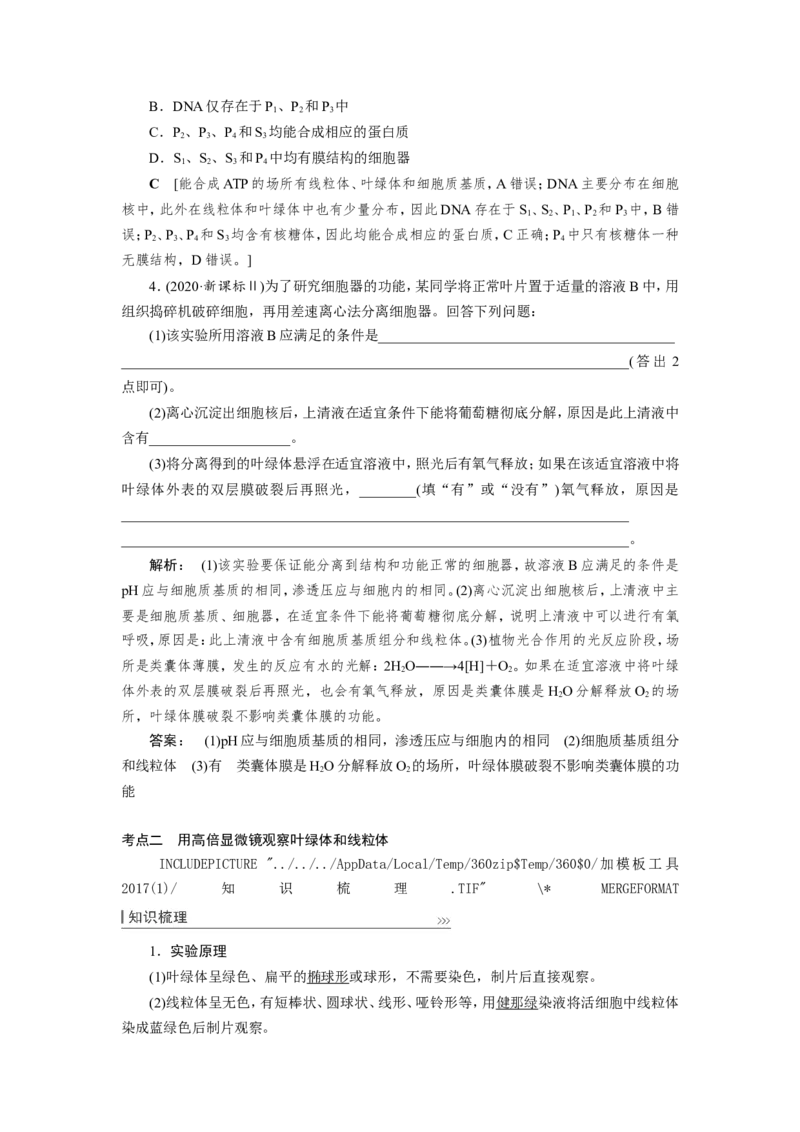 [12501769]高中生物一轮复习学案：第5讲　细胞器和生物膜系统_新高考复习资料_2023年新高考复习资料_一轮复习_精讲精练2023届新高考生物一轮复习学案