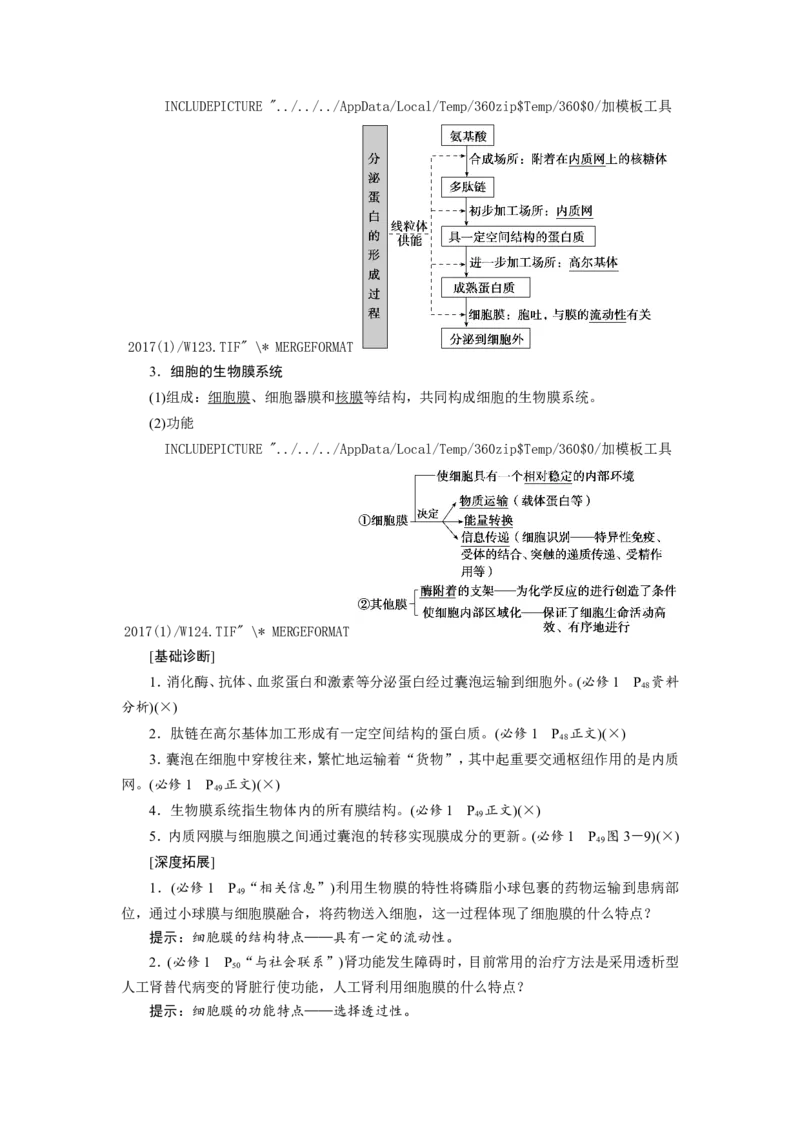 [12501769]高中生物一轮复习学案：第5讲　细胞器和生物膜系统_新高考复习资料_2023年新高考复习资料_一轮复习_精讲精练2023届新高考生物一轮复习学案
