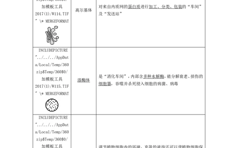 [12501769]高中生物一轮复习学案：第5讲　细胞器和生物膜系统_新高考复习资料_2023年新高考复习资料_一轮复习_精讲精练2023届新高考生物一轮复习学案